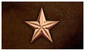 DNSEMP-C-430-CP-BR Star Copper-Brown